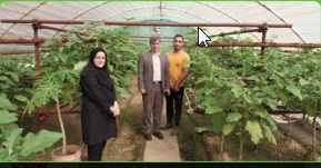 بازدید رئیس سازمان جهاد کشاورزی استان گیلان از شهرک گلخانه‌ای دیسام